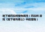 地下城巴拉姆宠物属性（巴拉姆 游戏《地下城与勇士》中的宠物）