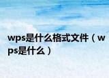 wps是什么格式文件（wps是什么）
