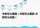 水蚁怎么驱除（水蚁怎么驱赶 水蚁怎么去除）