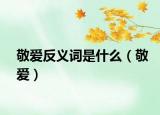 敬爱反义词是什么（敬爱）