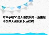 苹果手机5S进入恢复模式一直重启怎么办无法恢复永远在线