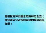 魔兽世界怀旧服永歌森林怎么去（谁知道WOW永歌森林的碧风海岸在哪）