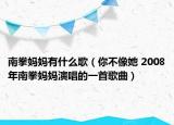 南拳妈妈有什么歌（你不像她 2008年南拳妈妈演唱的一首歌曲）