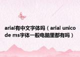 arial有中文字体吗（arial unicode ms字体一般电脑里都有吗）