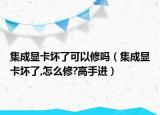 集成显卡坏了可以修吗（集成显卡坏了,怎么修?高手进）