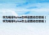 华为畅享9plus怎样设置动态壁纸（华为畅享8plus怎么设置动态壁纸）