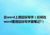 在word上用鼠标写字（任何在word里用鼠标写字做笔记?）