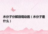 水分子分解微观动画（水分子是什么）