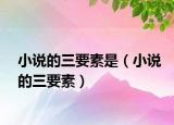 小说的三要素是（小说的三要素）