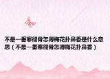 不是一番寒彻骨怎得梅花扑鼻香是什么意思（不是一番寒彻骨怎得梅花扑鼻香）