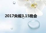 2017央视3.15晚会