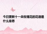 今日更新十一朵玫瑰花的花语是什么意思