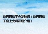 吃巴西松子会发胖吗（吃巴西松子会上火吗详细介绍）