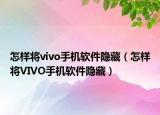 怎样将vivo手机软件隐藏（怎样将VIVO手机软件隐藏）