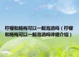 柠檬和杨梅可以一起泡酒吗（柠檬和杨梅可以一起泡酒吗详细介绍）