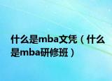 什么是mba文凭（什么是mba研修班）