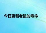 今日更新老鼠的寿命