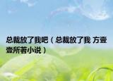 总裁放了我吧（总裁放了我 方壹壹所著小说）