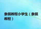 象棋教程小学生（象棋教程）