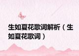 生如夏花歌词解析（生如夏花歌词）