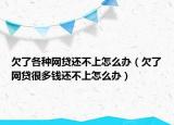 欠了各种网贷还不上怎么办（欠了网贷很多钱还不上怎么办）
