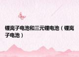 锂离子电池和三元锂电池（锂离子电池）