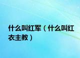什么叫红军（什么叫红衣主教）
