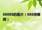 88888的图片（888弹簧网）