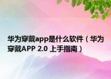 华为穿戴app是什么软件（华为穿戴APP 2.0 上手指南）