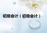 初级会计（初级会计）
