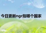 今日更新ngr指哪个国家