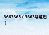 3663365（3663啥意思）