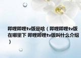 哔哩哔哩tv版是啥（哔哩哔哩tv版在哪里下 哔哩哔哩tv版叫什么介绍）