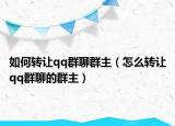如何转让qq群聊群主（怎么转让qq群聊的群主）