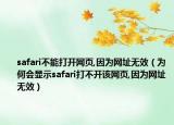 safari不能打开网页,因为网址无效（为何会显示safari打不开该网页,因为网址无效）