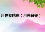 月光奏鸣曲（月光日美）