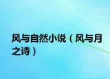 风与自然小说（风与月之诗）