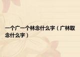 一个广一个林念什么字（广林取念什么字）