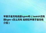 苹果手表充电线是typec吗（iwatch充电线type-c怎么充电 如何给苹果手表充电介绍）