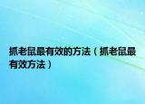 抓老鼠最有效的方法（抓老鼠最有效方法）