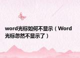 word光标如何不显示（Word  光标忽然不显示了）