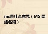 ms是什么意思（MS 网络名词）