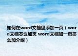 如何在word文档里添加一页（word文档怎么加页 word文档加一页怎么加介绍）