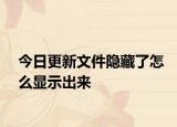 今日更新文件隐藏了怎么显示出来