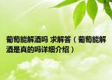 葡萄能解酒吗 求解答（葡萄能解酒是真的吗详细介绍）