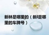 新林是哪里的（新l是哪里的车牌号）