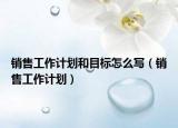 销售工作计划和目标怎么写（销售工作计划）