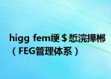 higg fem绠＄悊浣撶郴（FEG管理体系）