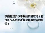 歌曲有过多少不眠的夜晚歌词（有过多少不眠的夜晚是哪首歌里的歌词）