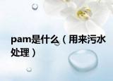 pam是什么（用来污水处理）